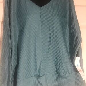 Women's Blue Sweater